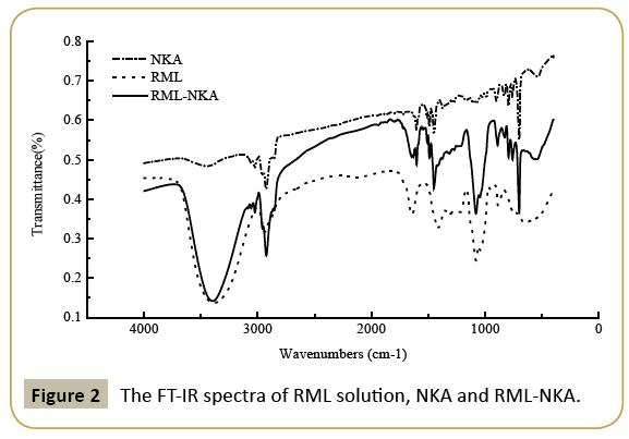 insights-enzyme-research-RML-solution