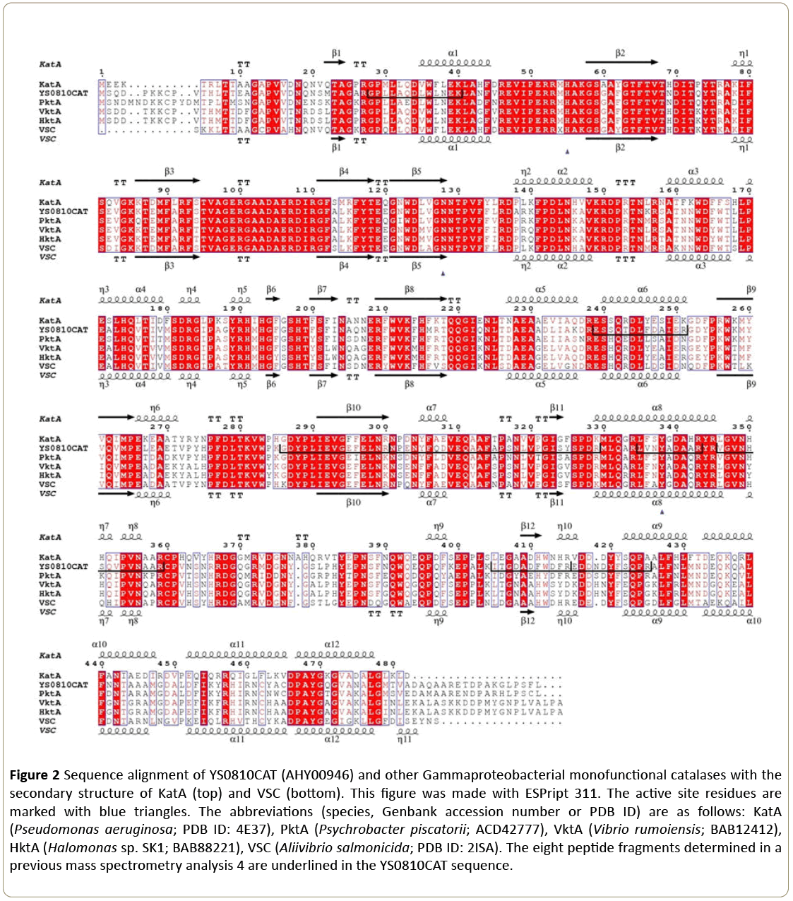 insights-enzyme-research-Sequence-alignment