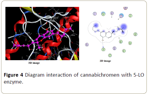 insights-enzyme-research-cannabichromen