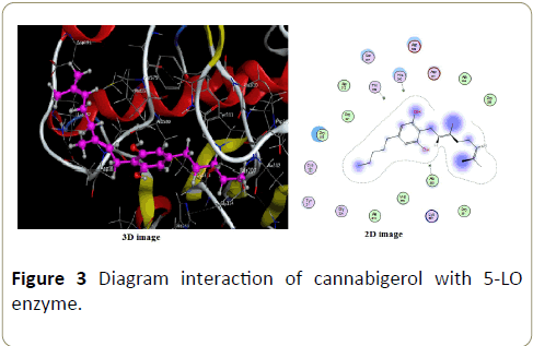insights-enzyme-research-cannabigerol
