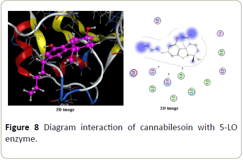 insights-enzyme-research-cannabilesoin-enzyme