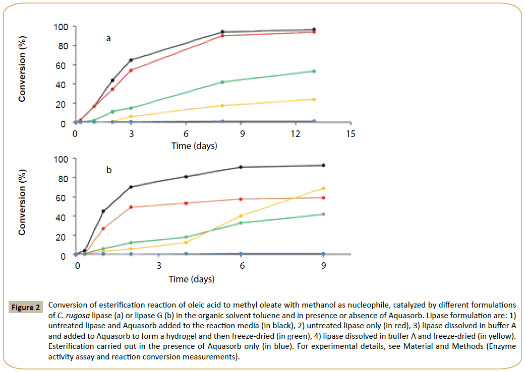 insights-enzyme-research-esterification