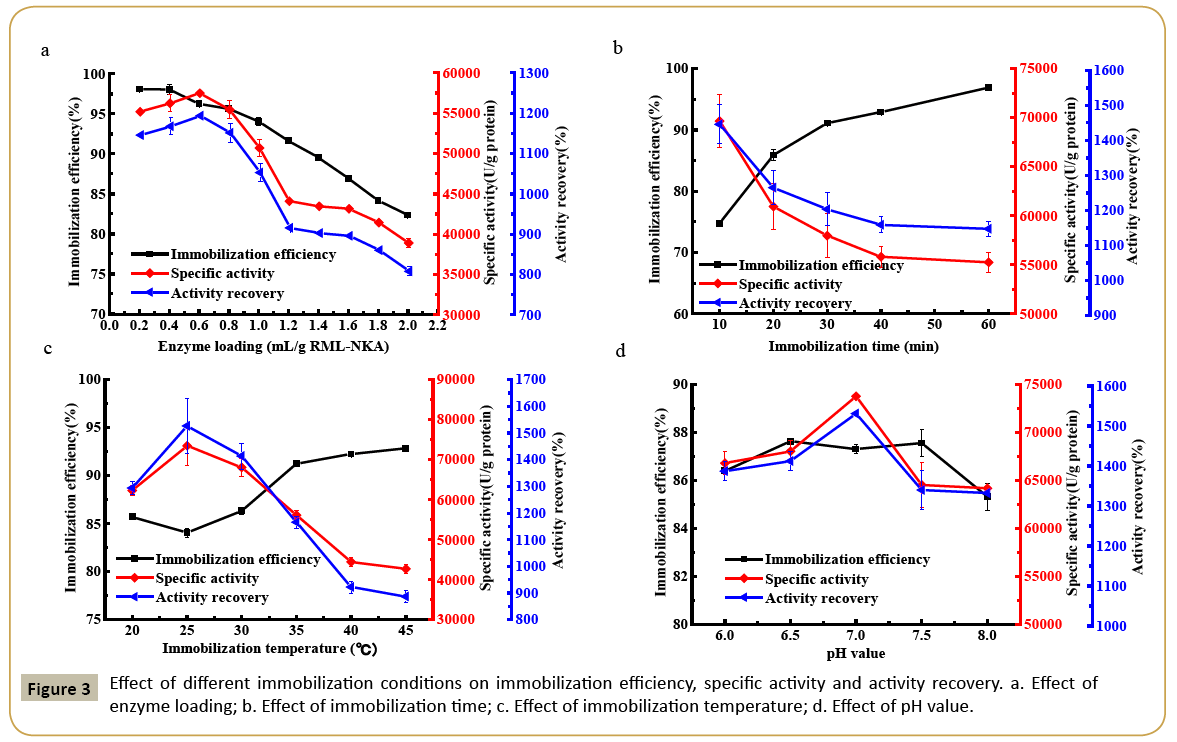 insights-enzyme-research-immobilization-conditions