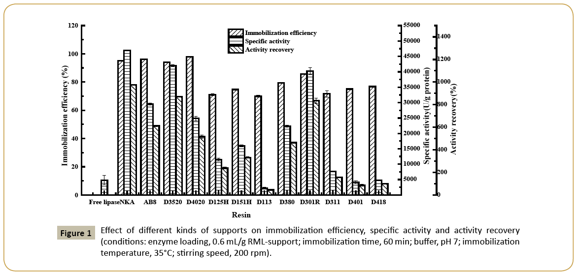 insights-enzyme-research-immobilization-efficiency