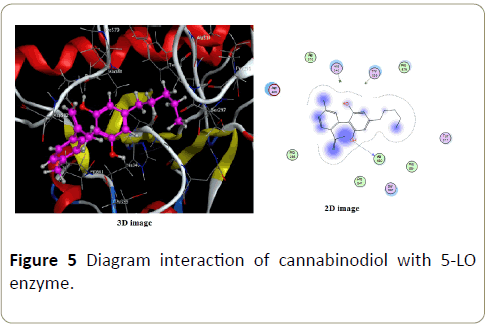 insights-enzyme-research-interaction