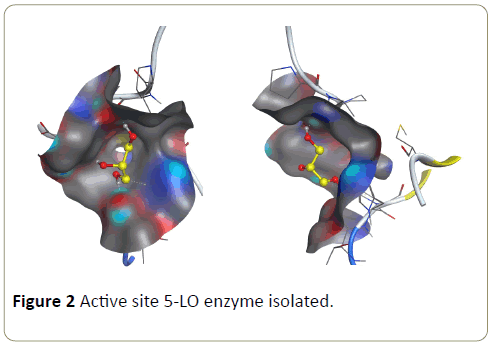 insights-enzyme-research-isolated