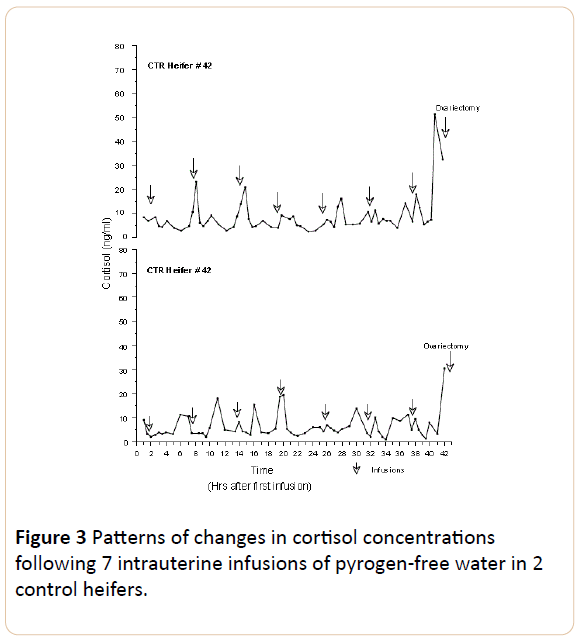 insights-in-reproductive-medicine-control-heifers