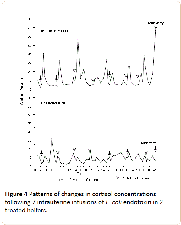 insights-in-reproductive-medicine-intrauterine-infusionss