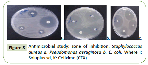 integrative-journal-global-health-Antimicrobial-study-zone