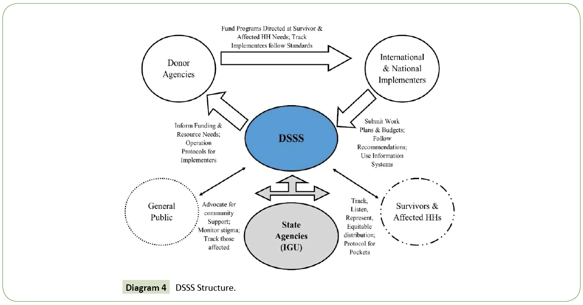 integrative-journal-global-health-DSSS-Structure
