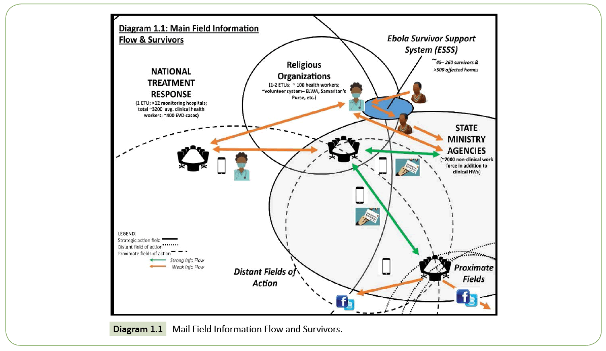 integrative-journal-global-health-Information-Flow