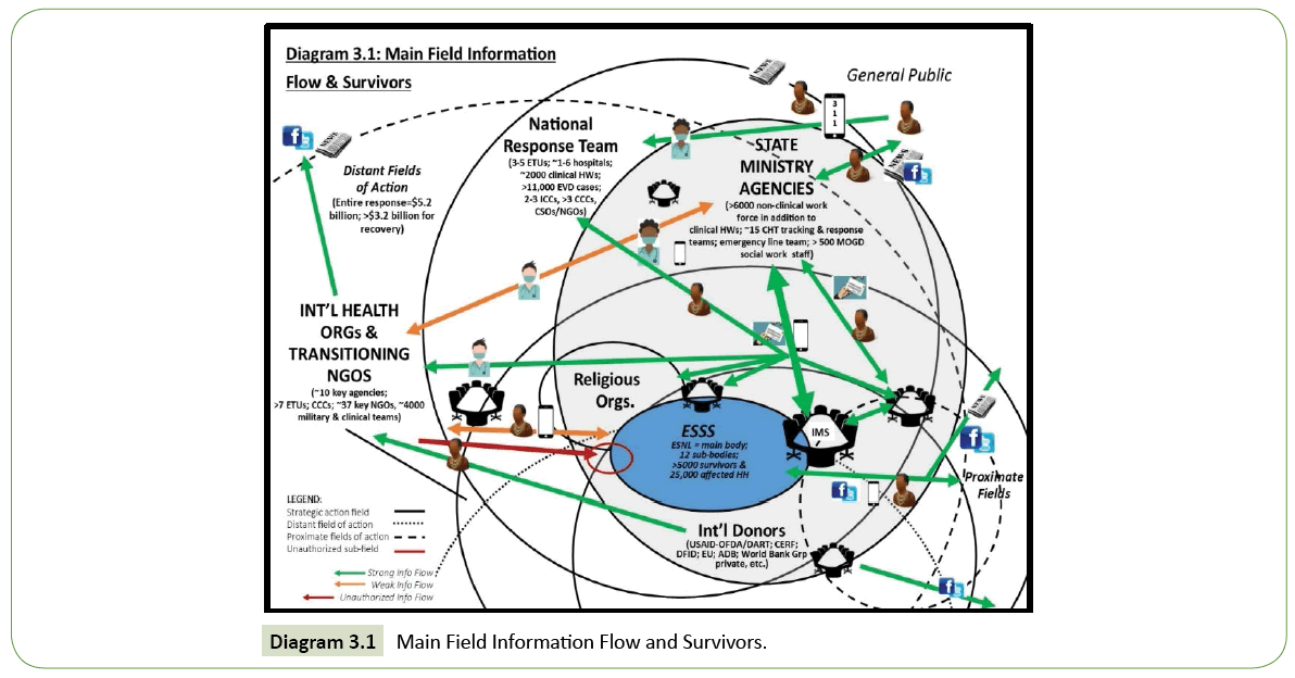 integrative-journal-global-health-Information-Flow