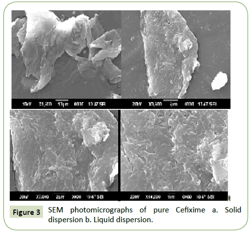 integrative-journal-global-health-SEM-photomicrographs-pure-Cefixime