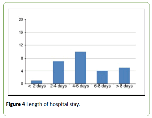 integrative-journal-global-health-hospital