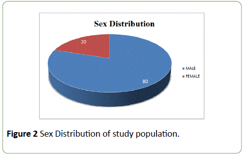 integrative-journal-global-health-sex