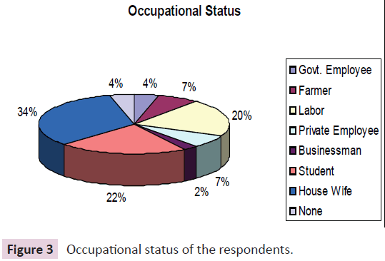 journal-biomedical-science-applications-Occupational-status