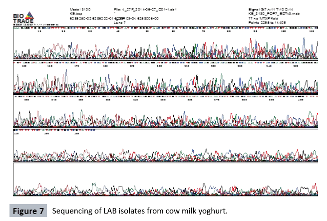 journal-food-biotechnology-research-milk