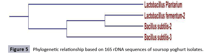 journal-food-biotechnology-research-phylogenetic