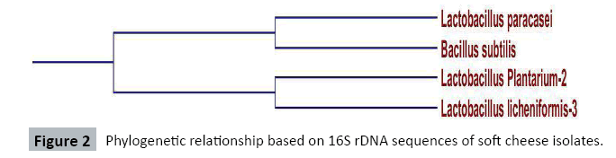 journal-food-biotechnology-research-relationship