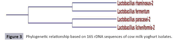 journal-food-biotechnology-research-sequences