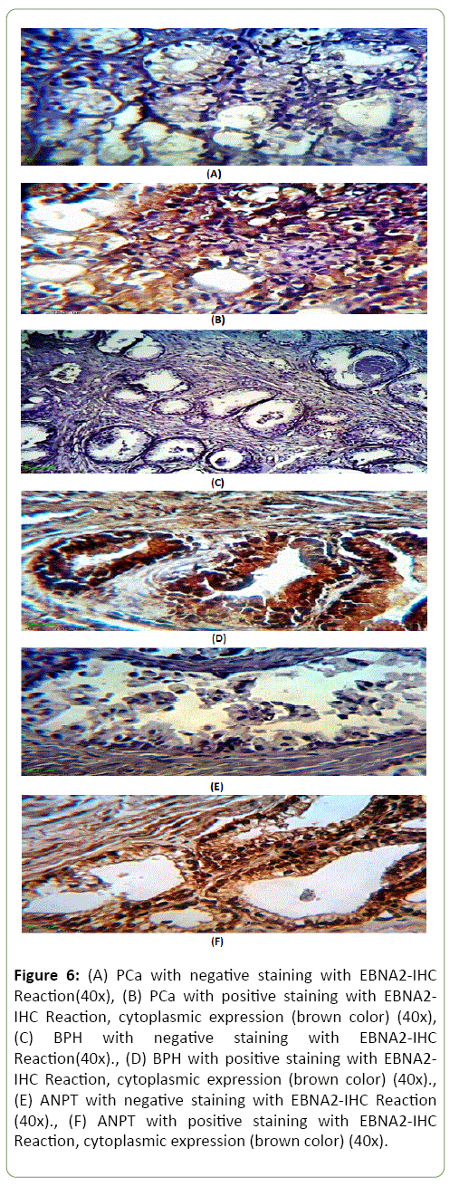 journal-medical-microbiology-immunology-staining