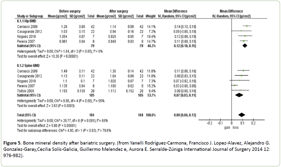 journal-metabolism-mineral-density