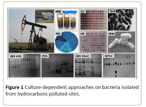 journal-molecular-microbiology-bacteria