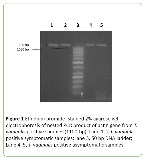 journal-molecular-microbiology-bromide