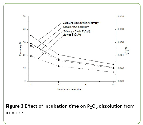 journal-molecular-microbiology-dissolution