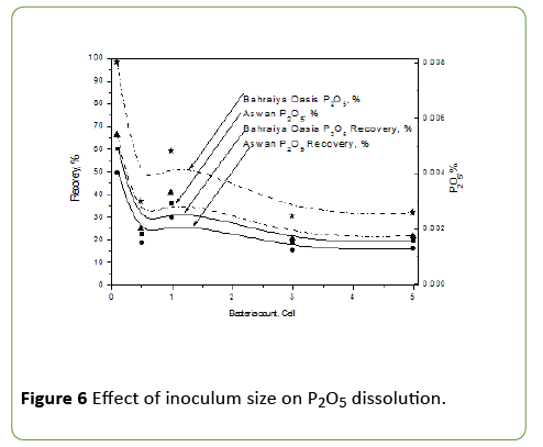 journal-molecular-microbiology-dissolution