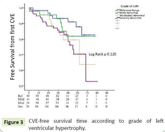 journal-nephrology-transplantation-survival-time