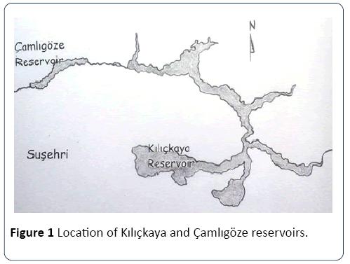 journal-water-pollution-control-reservoirs