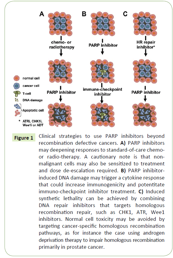 medical-oncology-Clinical-strategies