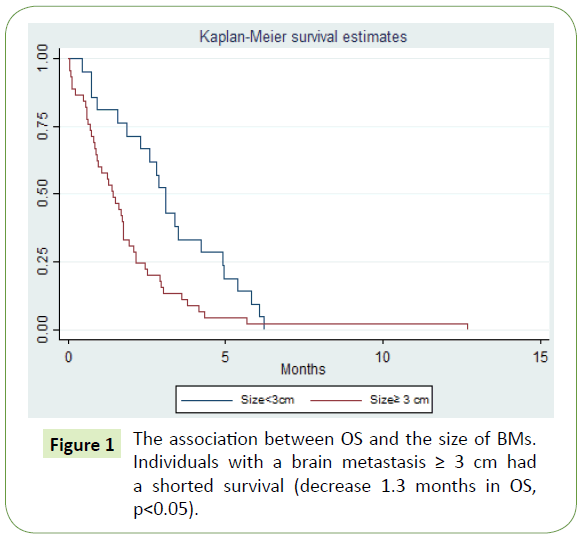 medical-oncology-brain-metastasis