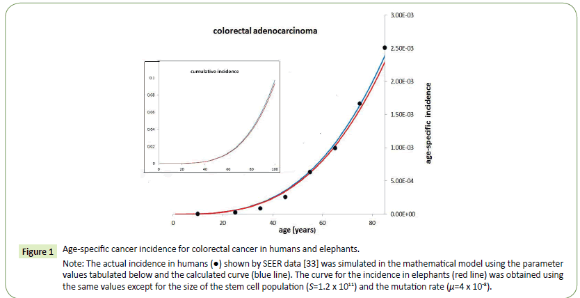 medical-oncology-cancer