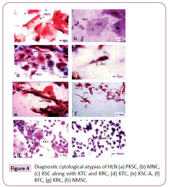 medicine-therapeutics-Diagnostic-cytological