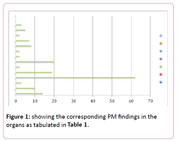 medicine-therapeutics-PM-findings