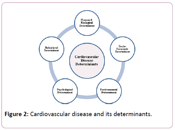 medicine-therapeutics-determinants