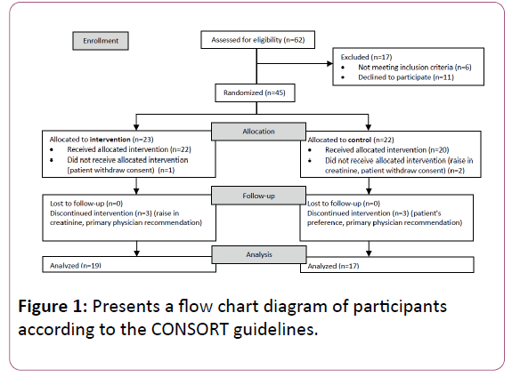 medicine-therapeutics-flow-chart