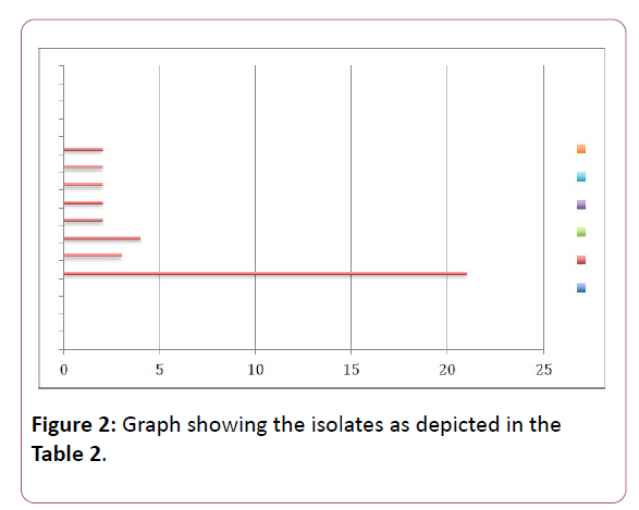 medicine-therapeutics-isolates-depicted