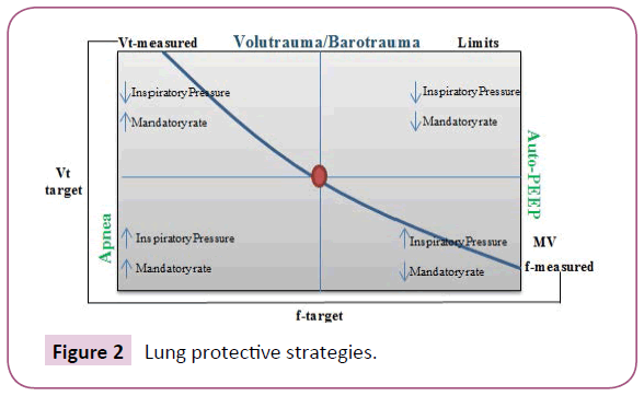 medicine-therapeutics-protective-strategies