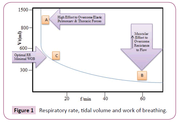 medicine-therapeutics-work-breathing