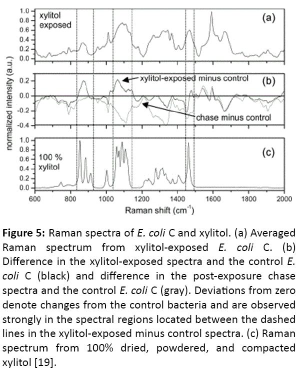 microbiology-immunology-research-xylitol-exposed-spectra