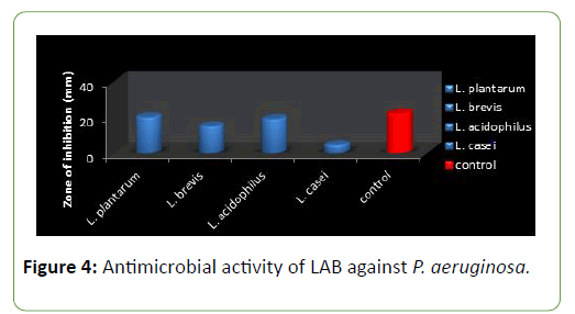 molecular-biology-and-biotechnology-antimicrobial-activity