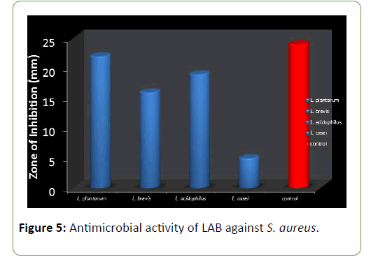 molecular-biology-and-biotechnology-antimicrobial-activity