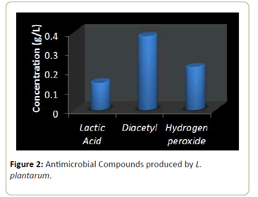 molecular-biology-and-biotechnology-compounds-produced