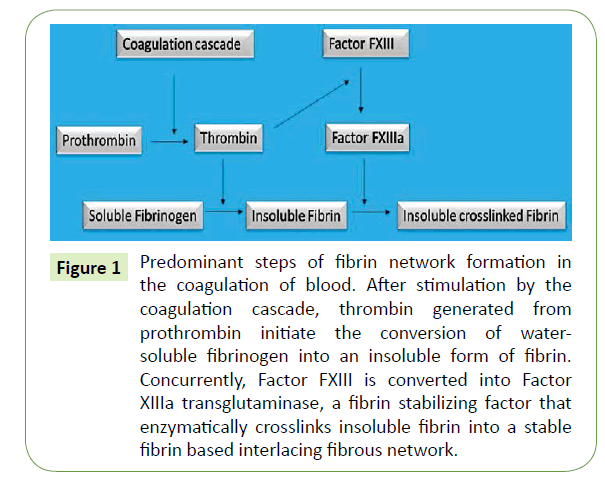 molecular-biology-and-biotechnology-formation