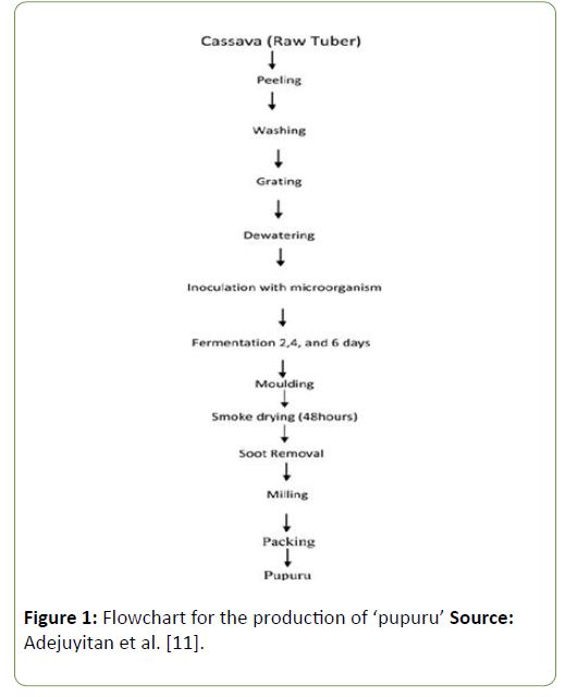 molecular-biology-and-biotechnology-modulates-immune