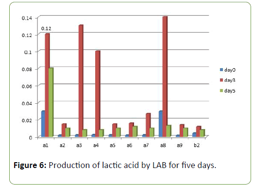 molecular-biology-and-biotechnology-production-lactic