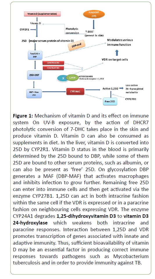 molecular-biology-and-biotechnology-serum-proteins